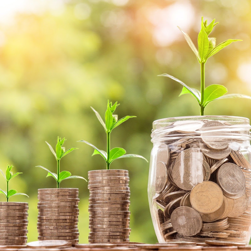 earn and grow wealth