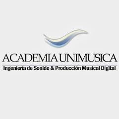 Academia Unimusica - Artes & Ciencias del Sonido net worth