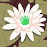 tU__M-MR6S0-channel-avatar-Cláudio Jaime de Coelho