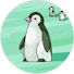 hESYyUIid4s-channel-avatar-Pingo 
