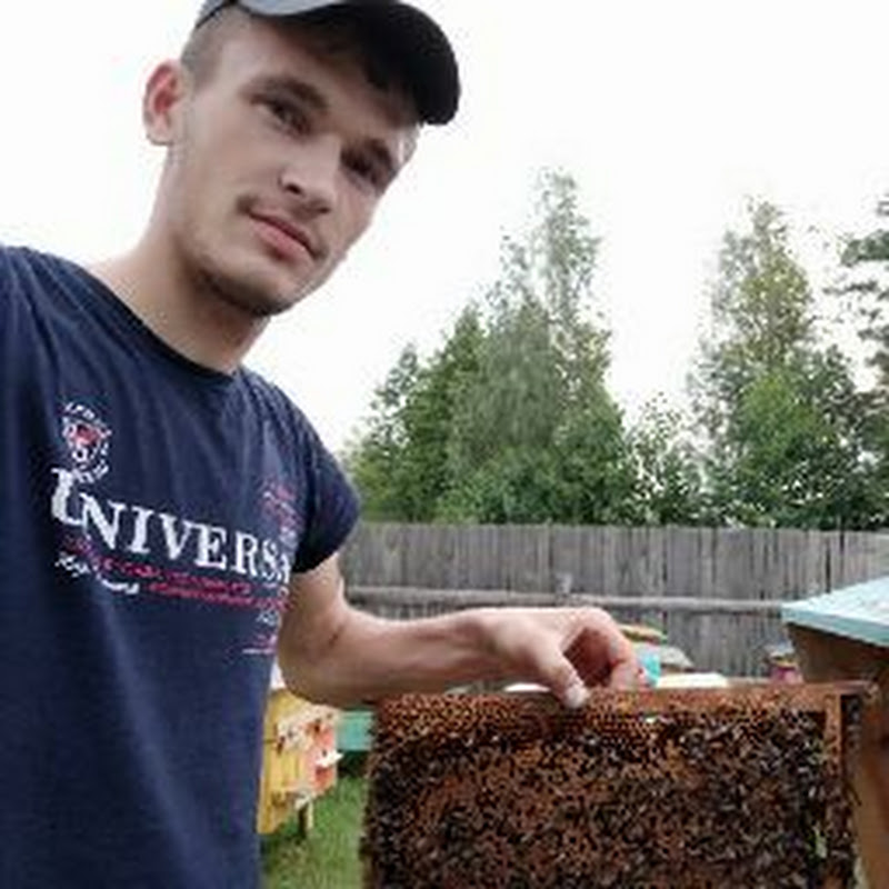 Пакетне Бджільництво Logo