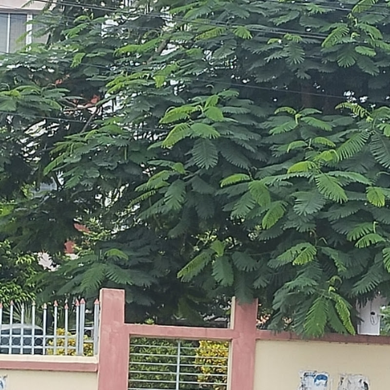 Gaborchapa Village Life