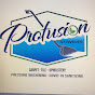 Profusion911 Services logo