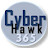 Cyberhawk365