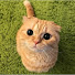 pJhtX1VQEjk-channel-avatar-catik tok