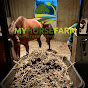 My Horse Farm LLC logo