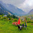 Naltar's view