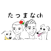 たつまなch