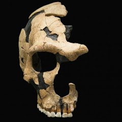 Thumbnail of related channel