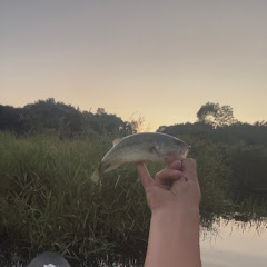 LaCroixx Fishes