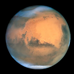 Yeetus deletus profile