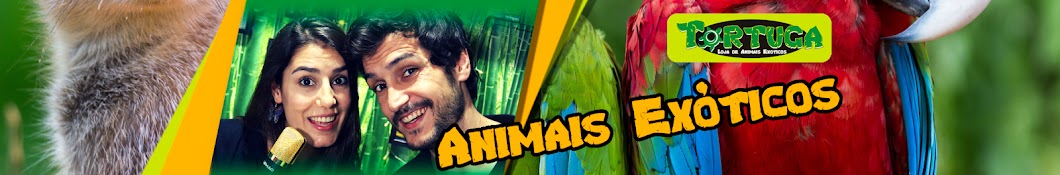 Tortuga PetShop - Animais ExÃ³ticos Avatar channel YouTube 