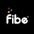 FibeIndia (Formerly EarlySalary)