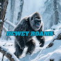 DEWEY ROAMS logo