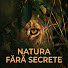 DsX6HHsihjA-channel-avatar-Natura Fără Secrete