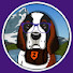 g233wwBDsZk-channel-avatar-Zeidgenosse
