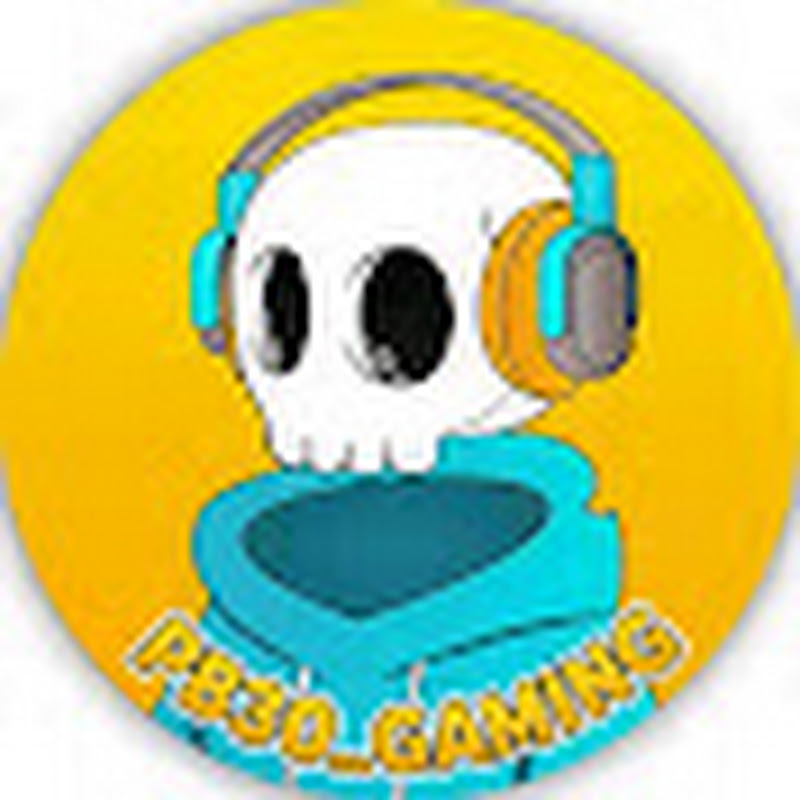 Hire PB30_GAMING🚀 — Simulation Games (Flight, Farming, etc.) YouTube creator for sponsorships