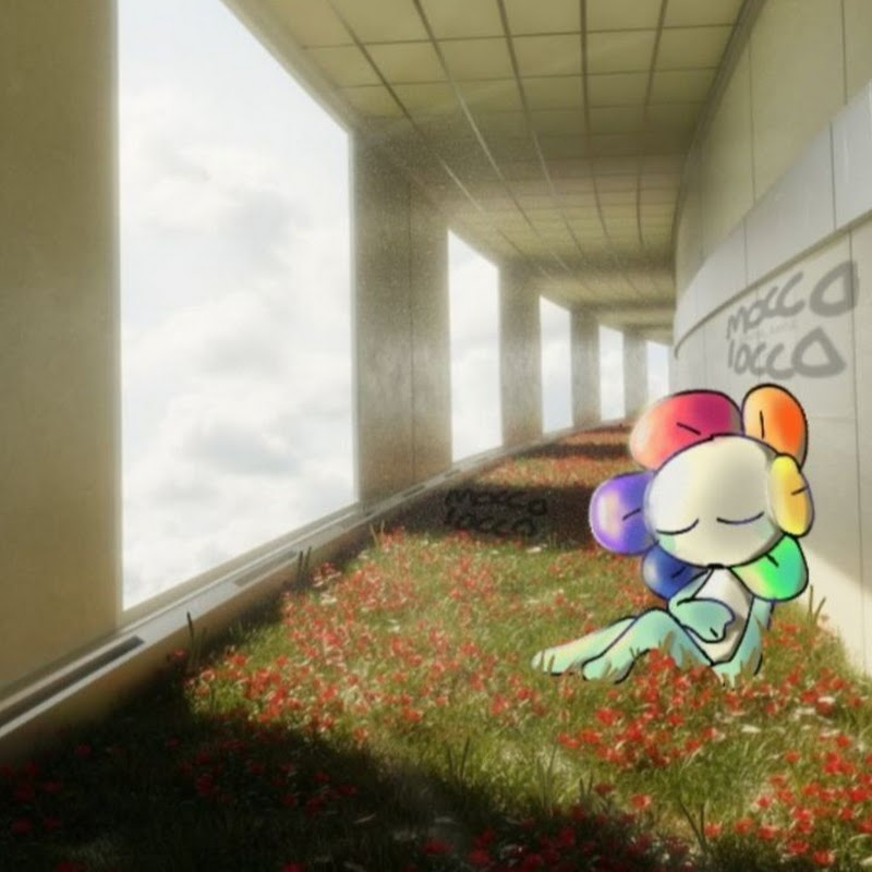 •~Hachikow Does Dr34mc0re~•