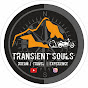 Transient Souls logo
