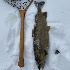 droppinfloatz