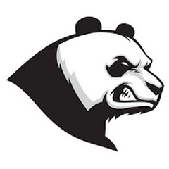 Channel thumbnail for PANDA X2