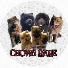 Логотип каналу CHOWS RARE