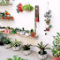 Z6O60Te4Skk-channel-avatar-Márcia Neves Deus Eu e as Plantas 