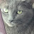 @UncleBuck25 Avatar