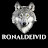 @Ronaldeivid__0