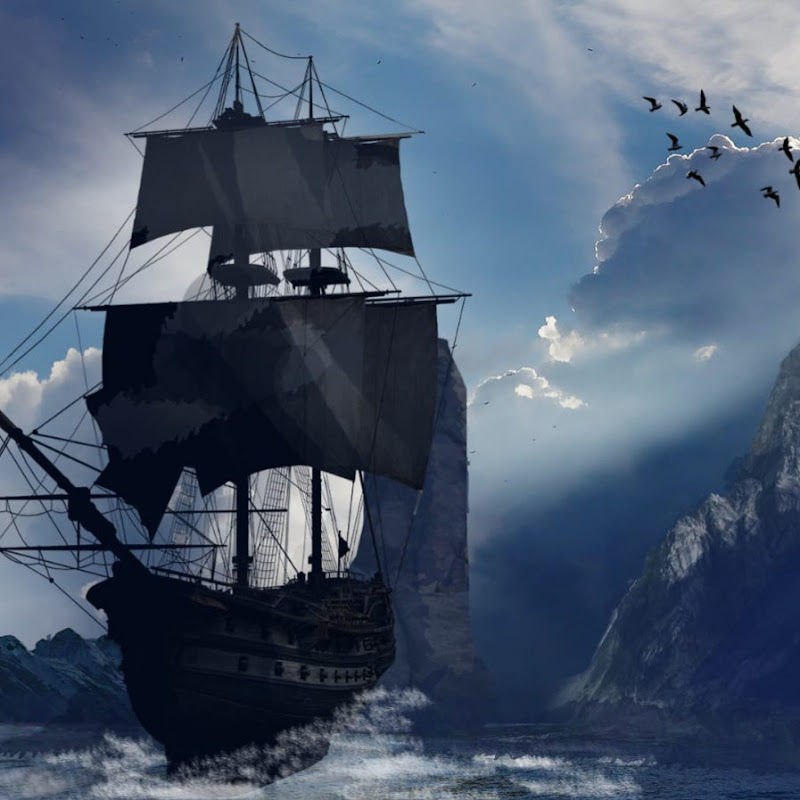 Jackdaw