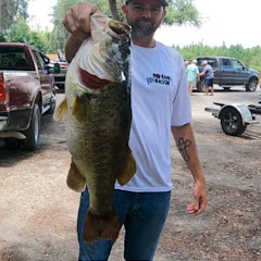 No Name Bassin