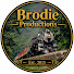 Hz7w0i5uXXg-channel-avatar-Brodie Productions