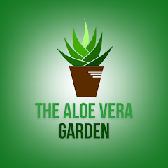 The Aloe Vera Garden Avatar