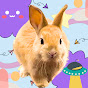 Animamille🐰🐱 Travel to meet animals. thumbnail