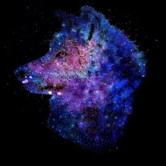 Galaxy Wolfer net worth