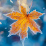 XH31l77j2AU-channel-avatar-Enchanted Autumn