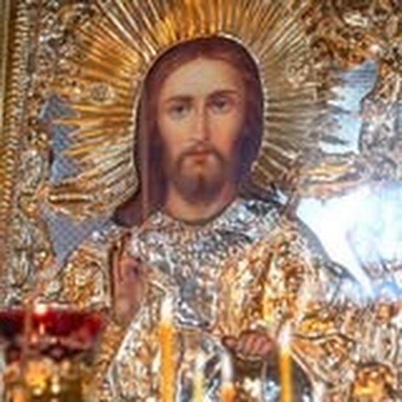 Волим Светог Василија Острошког