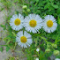 Channel Image