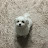 @김현철-z4z