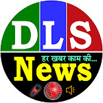 DLS News Net Worth