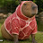 capycapybara918