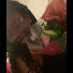 kiF1k7ikuE8-channel-avatar-Living with Nadia