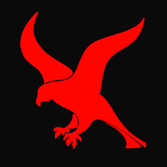Falconstreams 