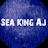 @SeaKingAj