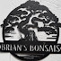 MbygmQ_qt38-channel-avatar-Brian’s Budget Bonsai