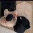 @3333SosoSy