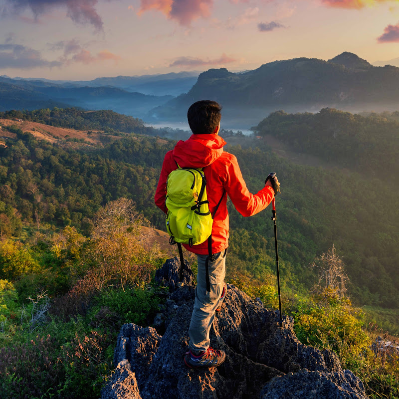 Traveler’s Journal