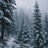 8OeH8koU8lc-channel-avatar-Serenity Snow Ambience