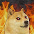 15hwTMcg0rU-channel-avatar-DOGET_T