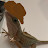 @Winder_gg-u9j